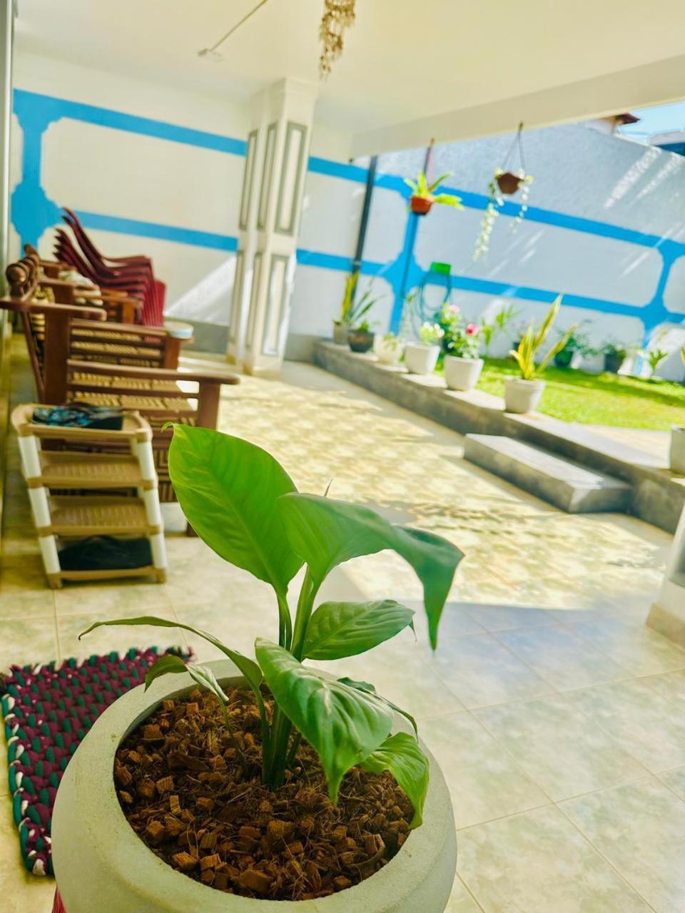 Sea Breeze Guest House Negombo Exterior foto
